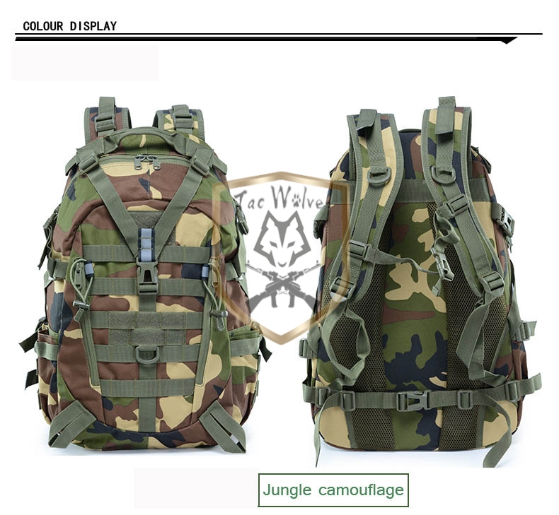 Jungle Camouflage.jpg